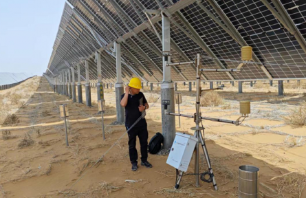 光伏板下盛開(kāi)金銀花