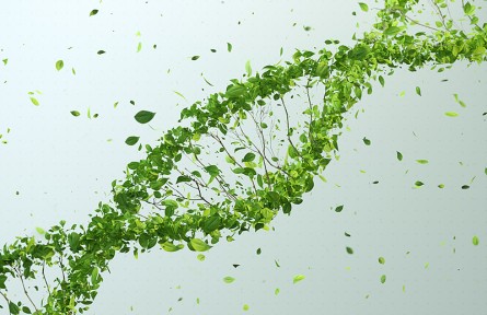 科技名詞|生長因子 growth factor，GF