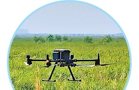 愛鳥護(hù)鳥，這些科技手段在助力