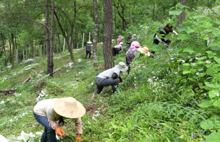 湖北?？担毫窒陆?jīng)濟產(chǎn)值突破9億元