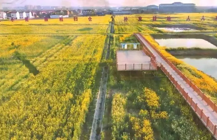 湖北孝感丹陽(yáng)鎮(zhèn)：以“和美”為筆 繪就鄉(xiāng)村振興新畫卷