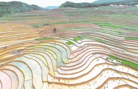 貴州六盤(pán)水：“三夏”生產(chǎn)念好“良”字訣