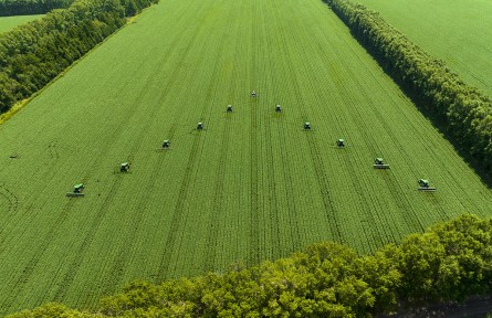 黑龍江：以定制農(nóng)業(yè)高質(zhì)量發(fā)展推動(dòng)農(nóng)業(yè)強(qiáng)省建設(shè)