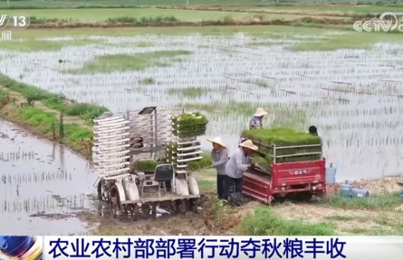 全力以赴打牢秋糧豐收基礎(chǔ) 奮戰(zhàn)100天防汛抗災(zāi)、抓夏管、提單產(chǎn)