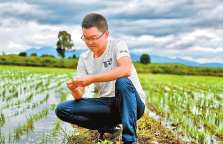 新時代青年先鋒獎獲得者張建平：精研生態(tài)種植 守護(hù)高原糧倉