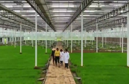 安徽投入187.2億元財(cái)政資金支持糧食生產(chǎn)