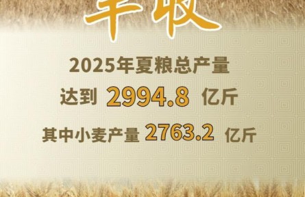 2994.8億斤！2025年夏糧“成績單”出爐
