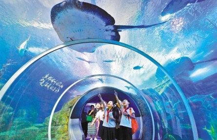 藍(lán)色動(dòng)能