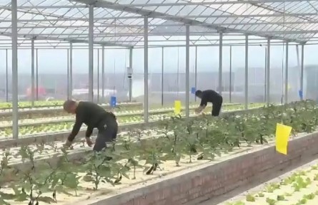 陜西：綠色智能亮點十足 科技賦能三秦沃野