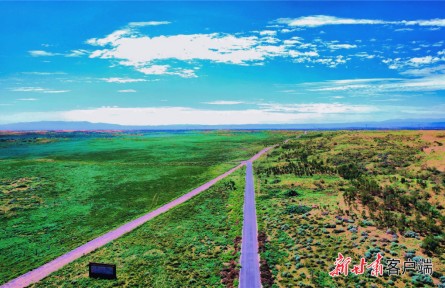 甘肅武威：創(chuàng)新模式打造全國荒漠化治理樣板區(qū)