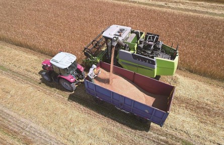 吉林鎮(zhèn)賚：特色農(nóng)業(yè)“搶跑”夏收 萬畝小冰麥開鐮收割