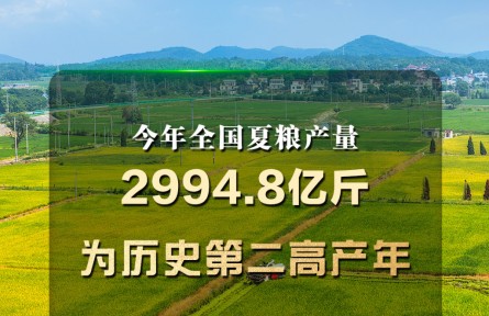 歷史第二高產(chǎn)年 今年全國夏糧產(chǎn)量2994.8億斤