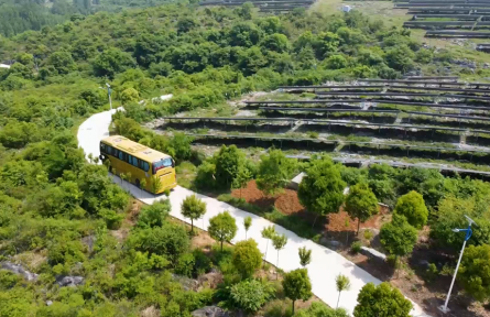 湖北老河口市牧場村：昔日荒山變成“綠色銀行”