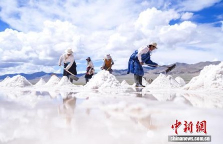 西藏阿里：千年“鹽羊古道”生機依舊