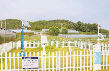 福建建寧：稻種第一縣發(fā)力“云端”