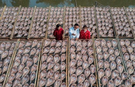 浙江溫嶺：“海味經(jīng)濟”闖出“靠海吃?！毙侣纷?></a></td>
<td align=