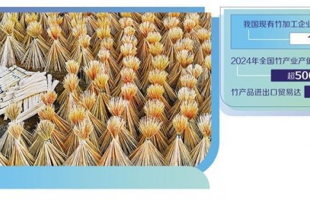 以竹代塑”產(chǎn)業(yè)潛力大