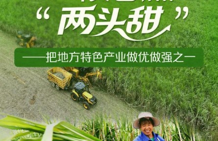 習近平總書記關(guān)切事|一根甘蔗“兩頭甜”——把地方特色產(chǎn)業(yè)做優(yōu)做強之一
