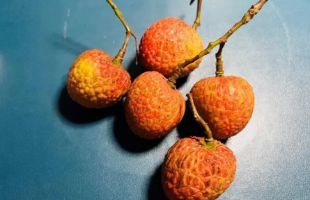 吃荔枝能降糖？千萬不要這么做！
