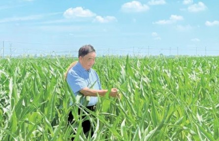 53本筆記，半個世紀(jì)“糧心”——記時代楷模、安徽省太和縣種糧大戶徐淙祥