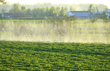 河南正陽(yáng)：齊心保秋糧