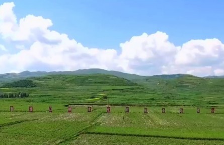 甘肅：“科技小院”精準賦能鄉(xiāng)村產(chǎn)業(yè)發(fā)展