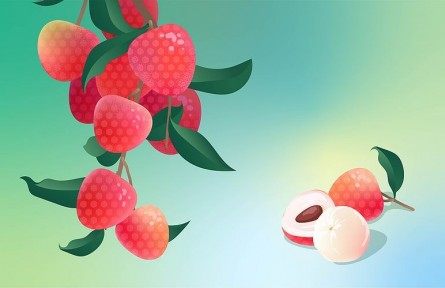 辟謠|荔枝果肉變白就不新鮮了嗎？