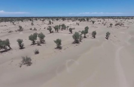 新疆：塔里木河引洪補(bǔ)水 生態(tài)農(nóng)業(yè)補(bǔ)水兩不誤