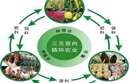 黃土旱塬“三元雙向”農(nóng)業(yè)綠色發(fā)展的實踐與思考——基于對甘肅省慶陽市的調(diào)研