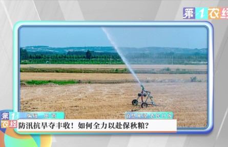 防汛抗旱奪豐收！如何全力以赴保秋糧？