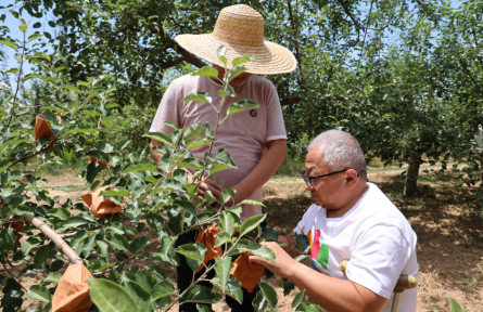 全國自強模范、“瓷娃娃”屈萬平：拄著雙拐的“蘋果CEO”