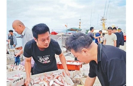 廣東陽(yáng)江 開(kāi)漁季的變與不變