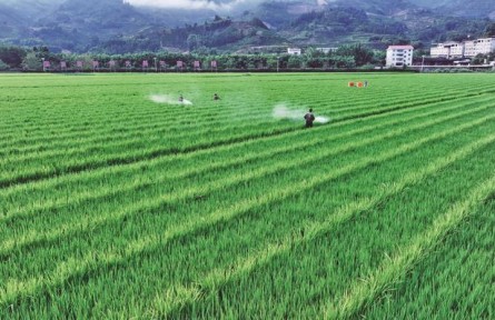 福建三明：城鄉(xiāng)“交響”奏華章