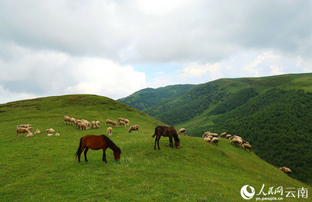 云南大山深處藏著個“阿勒泰”
