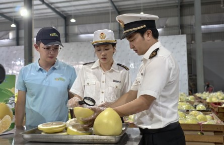 我國新鮮蜜柚首次出口新西蘭