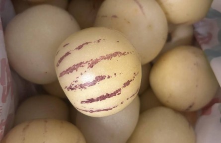 小麗逛菜場 | 人參果是蔬菜不是水果？小心！含糖量比大多數(shù)水果高