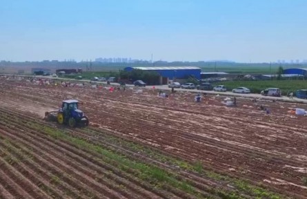 甘肅：豐收時節(jié) 特色農(nóng)產(chǎn)品助力農(nóng)民增收