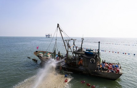 從“牧?！钡健柏S倉(cāng)” 山東“海洋糧倉(cāng)”邁向深藍(lán)