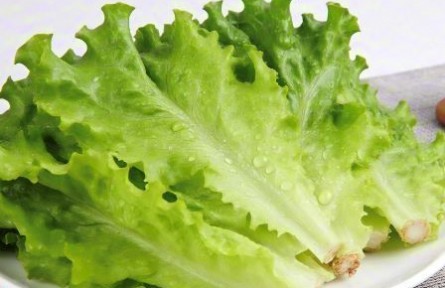 辟謠|生吃生菜真的會(huì)感染寄生蟲嗎？