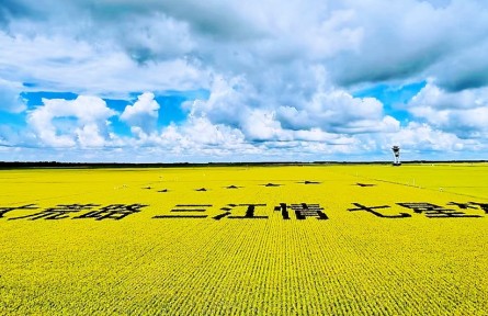 踏上黑土地，真正讀懂了“北大荒”