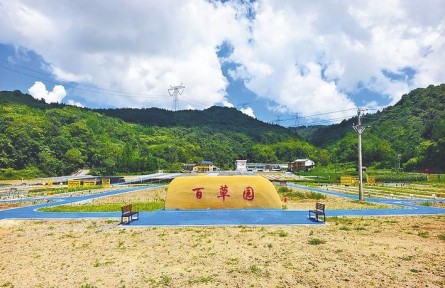 科技賦能林下經(jīng)濟(jì) 湖北巴東經(jīng)驗(yàn)全國推廣