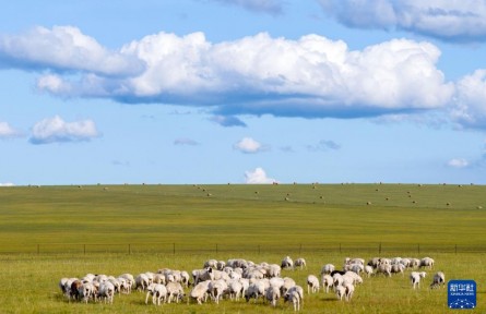內(nèi)蒙古：呼倫貝爾大草原秋景如畫