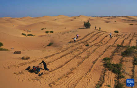 庫(kù)布其沙漠治沙進(jìn)行時(shí)