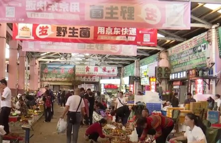 保護(hù)生態(tài) 科技支撐 做強(qiáng)市場 云南推動(dòng)食用菌產(chǎn)業(yè)高質(zhì)量發(fā)展