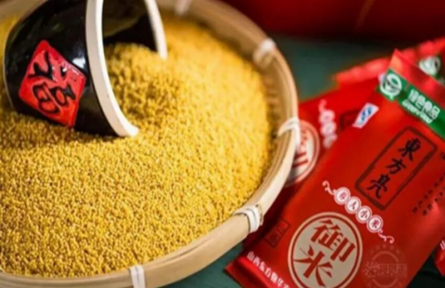 家鄉(xiāng)農(nóng)產(chǎn)品大學(xué)生推薦官 | 品牌手記?：廣靈小米“東方亮”品牌成長記