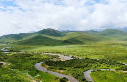 生態(tài)為筆 產(chǎn)業(yè)為墨：青海黃南州繪就畜牧業(yè)發(fā)展新圖景