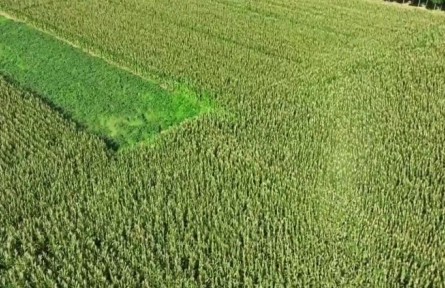 河北北斗＋農(nóng)業(yè)：精準作業(yè) 賦能智慧農(nóng)業(yè)