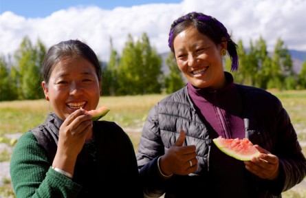 西藏首次！日喀則成功規(guī)?；N植高海拔露地西瓜