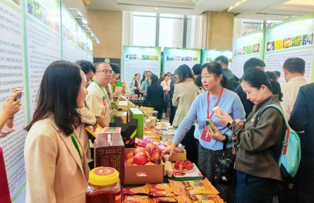 云南省地理標(biāo)志運(yùn)營中心啟動(dòng)運(yùn)營