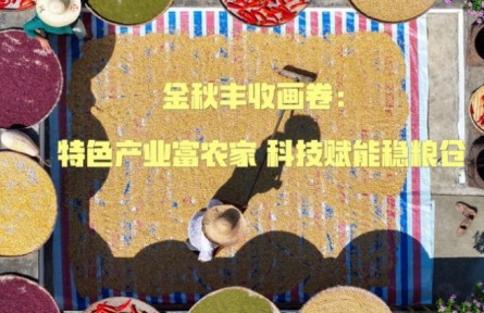 金秋豐收畫卷：特色產(chǎn)業(yè)富農(nóng)家 科技賦能穩(wěn)糧倉(cāng)